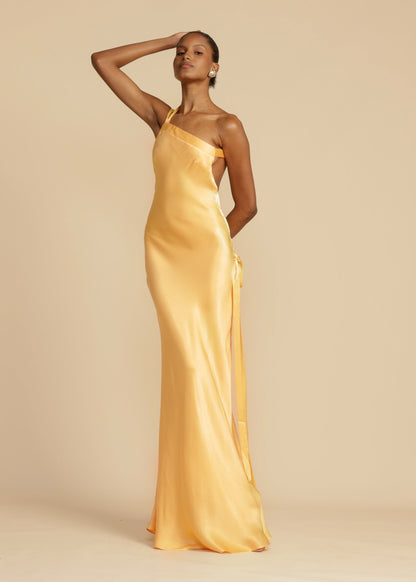 Celeste Asymmetrical Backless Satin Dress